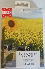 60 Sonnenblumen